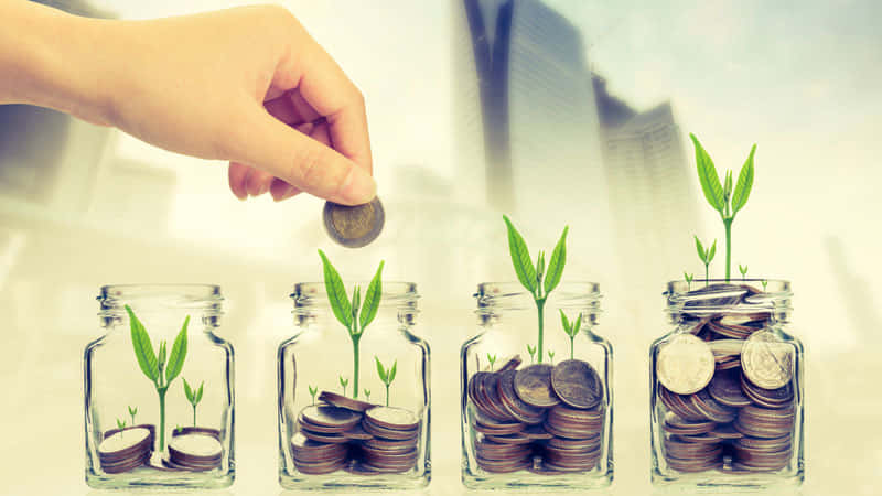 Mutual And Sustainable Investment Funds Wallpaper