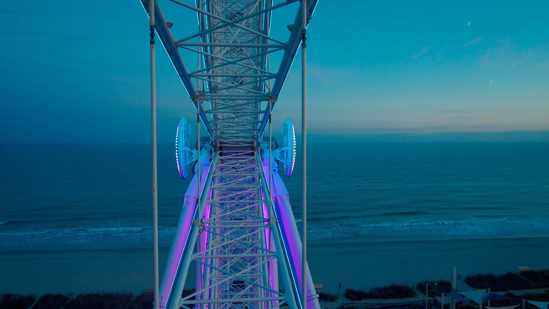 Explore the natural beauty of Myrtle Beach