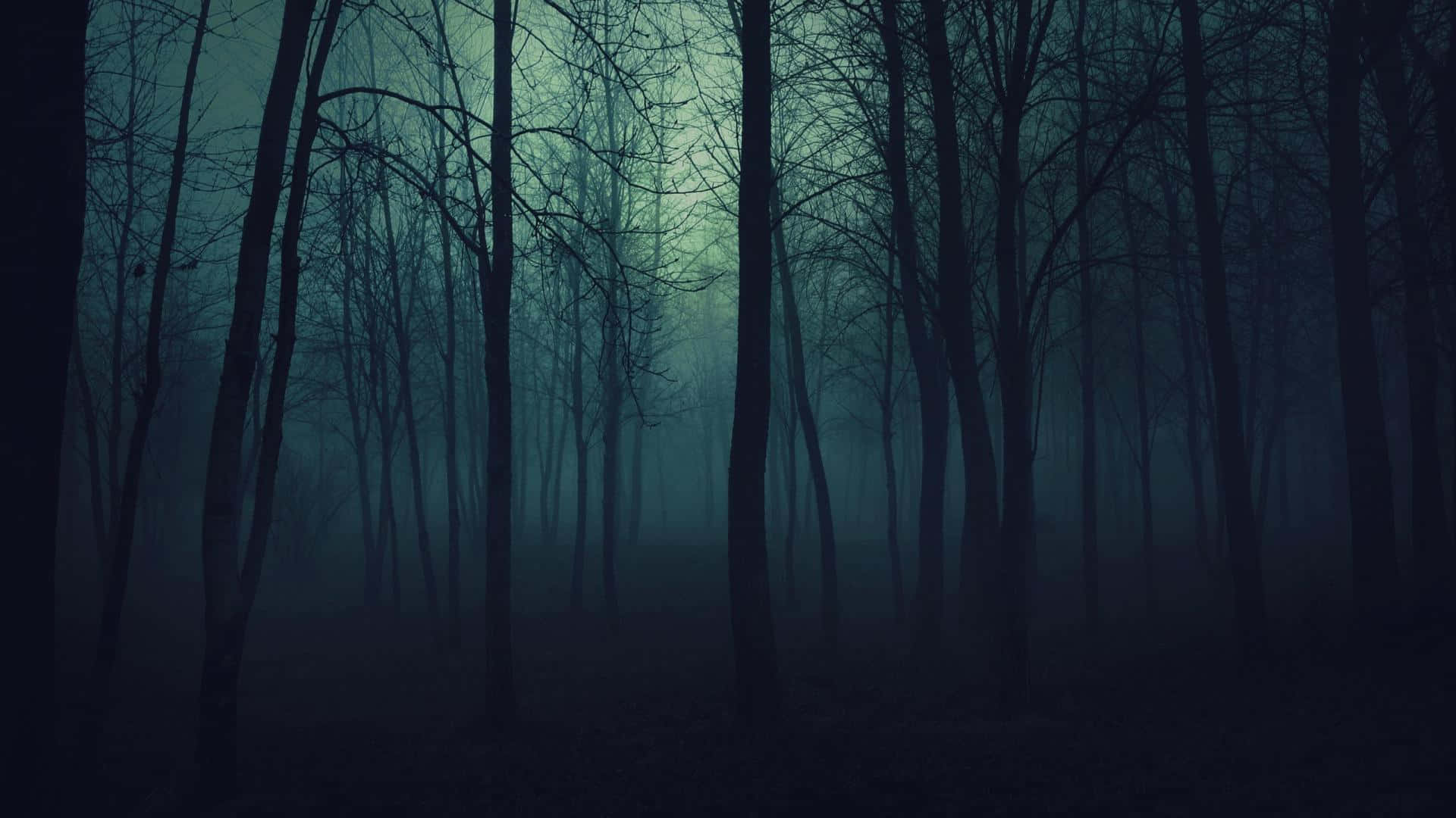 Mysterious Forest Path Wallpaper
