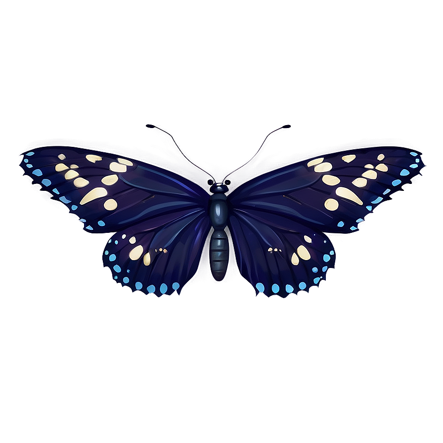 Mysterious Black Butterfly Png 06252024 PNG