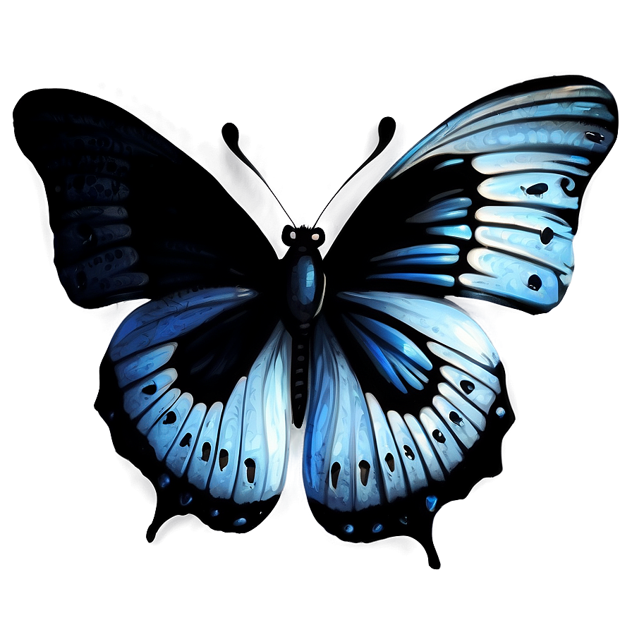 Mysterious Black Butterfly Png Jen7 PNG