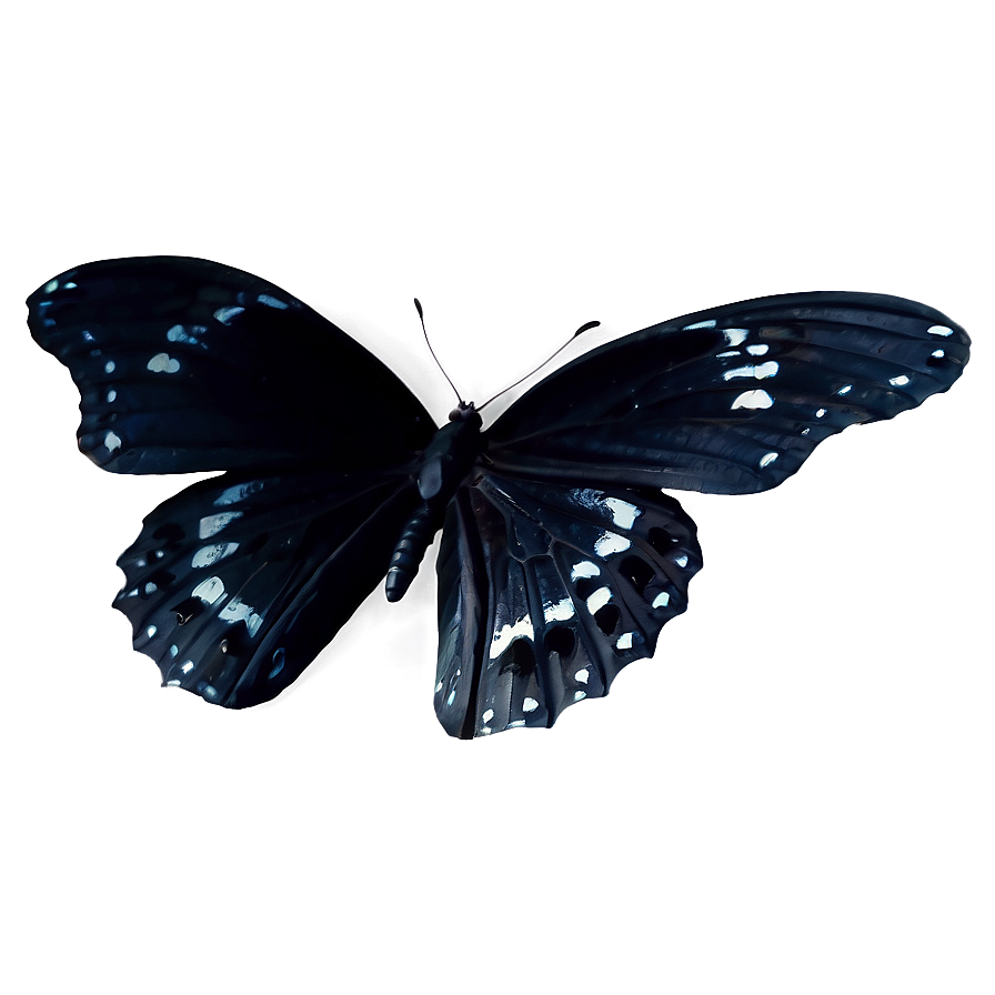 Mysterious Black Butterfly Png Kyl PNG