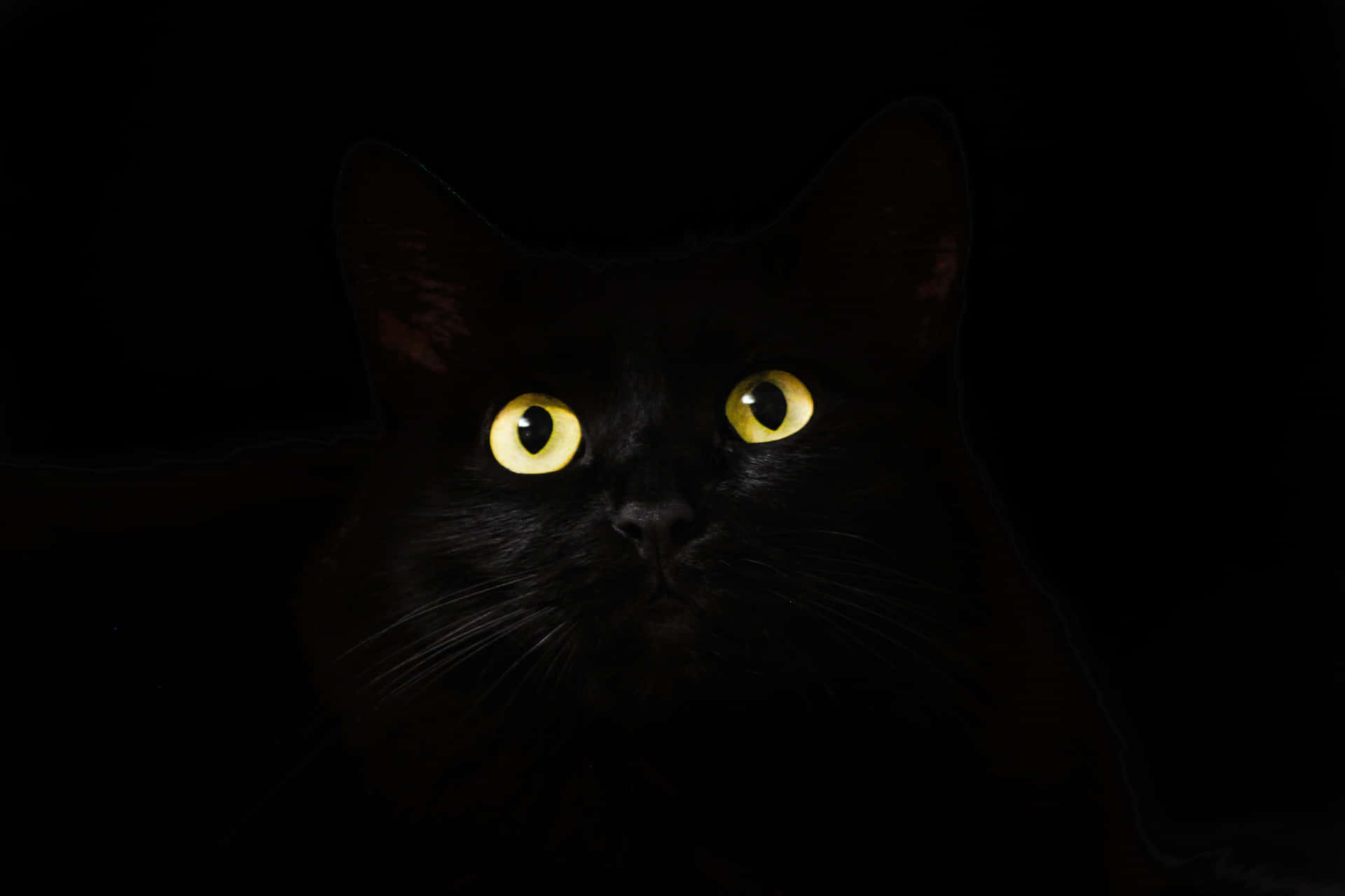 Mysterious Black Cat Glowing Eyes Wallpaper