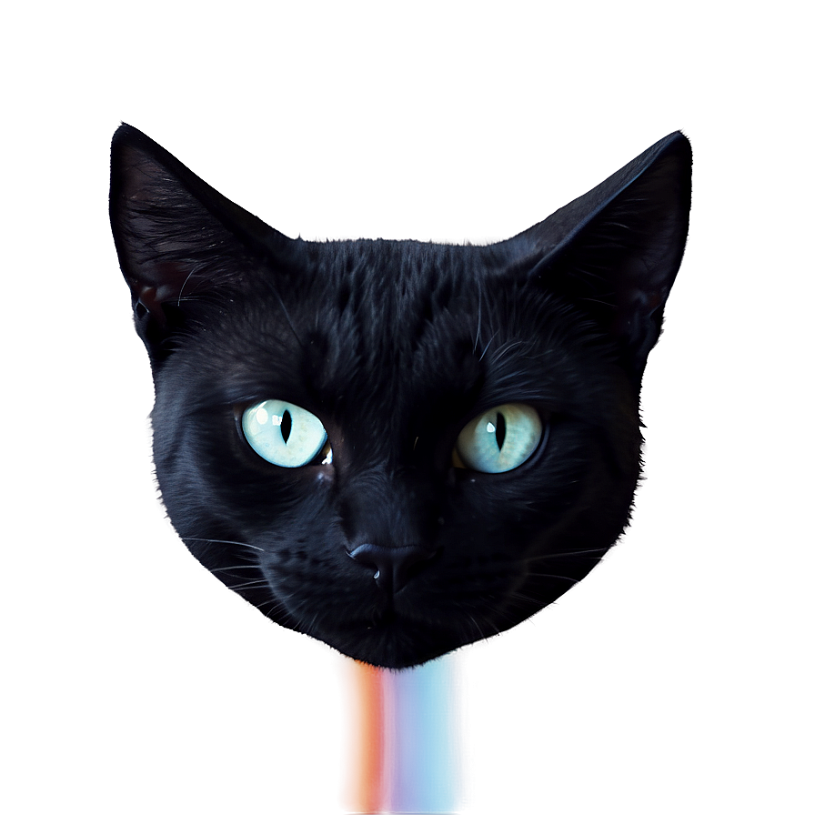 Mysterious Black Cat Head Png 79 PNG