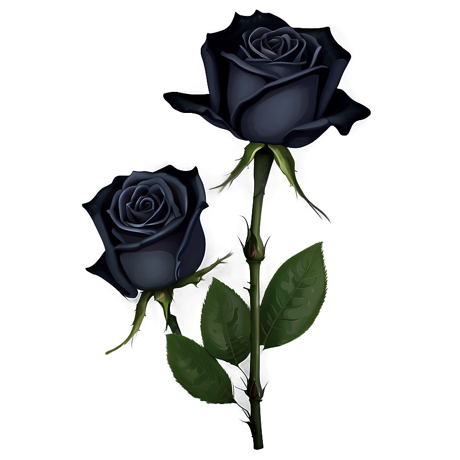 Mysterious Black Roses Png 98 PNG