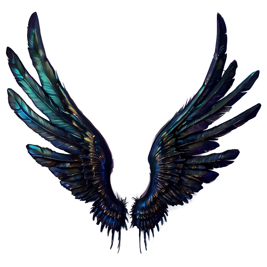 Mysterious Black Wings Art Png 18 PNG