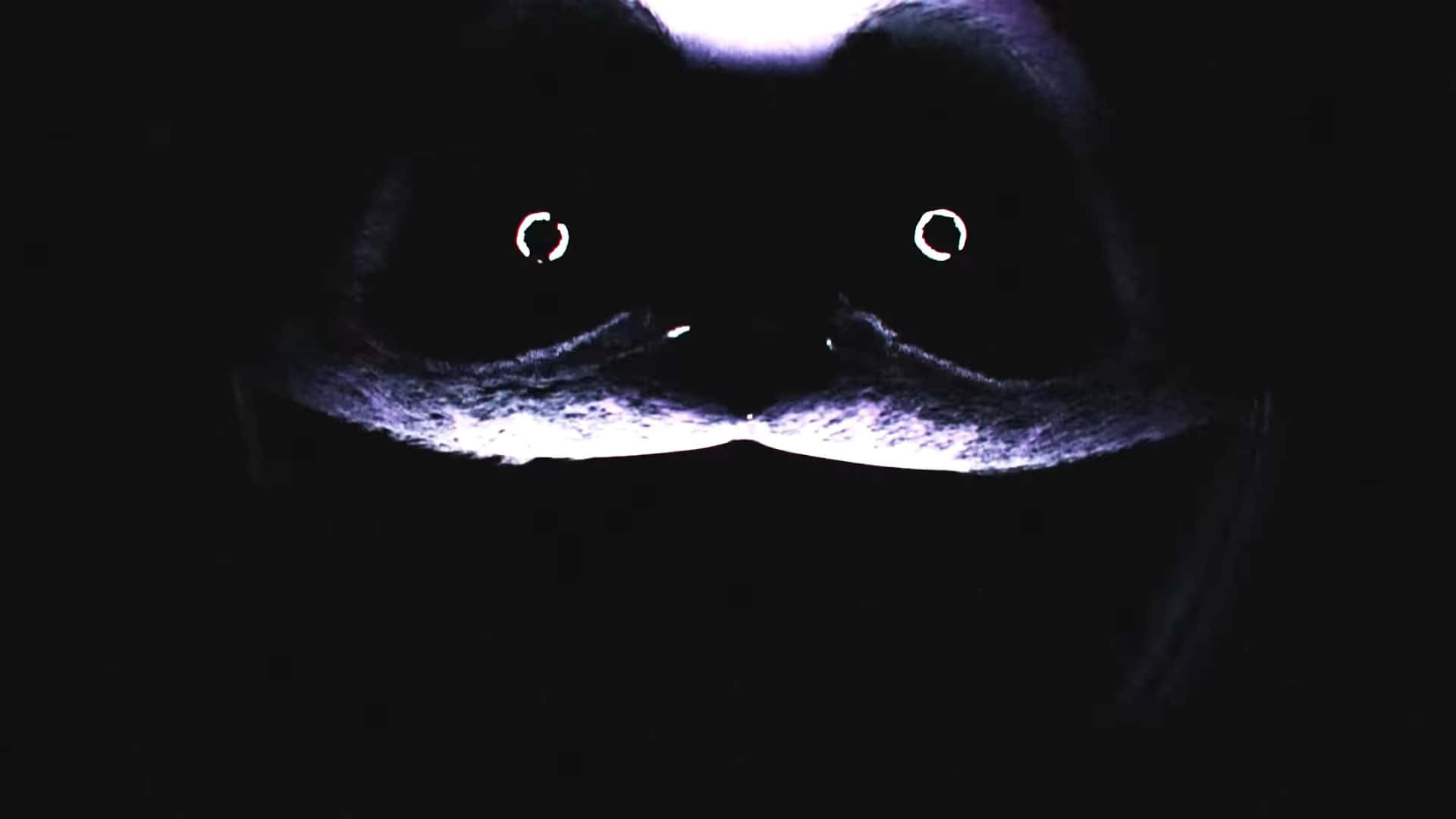 Mysterious Cat Eyesin Darkness Wallpaper