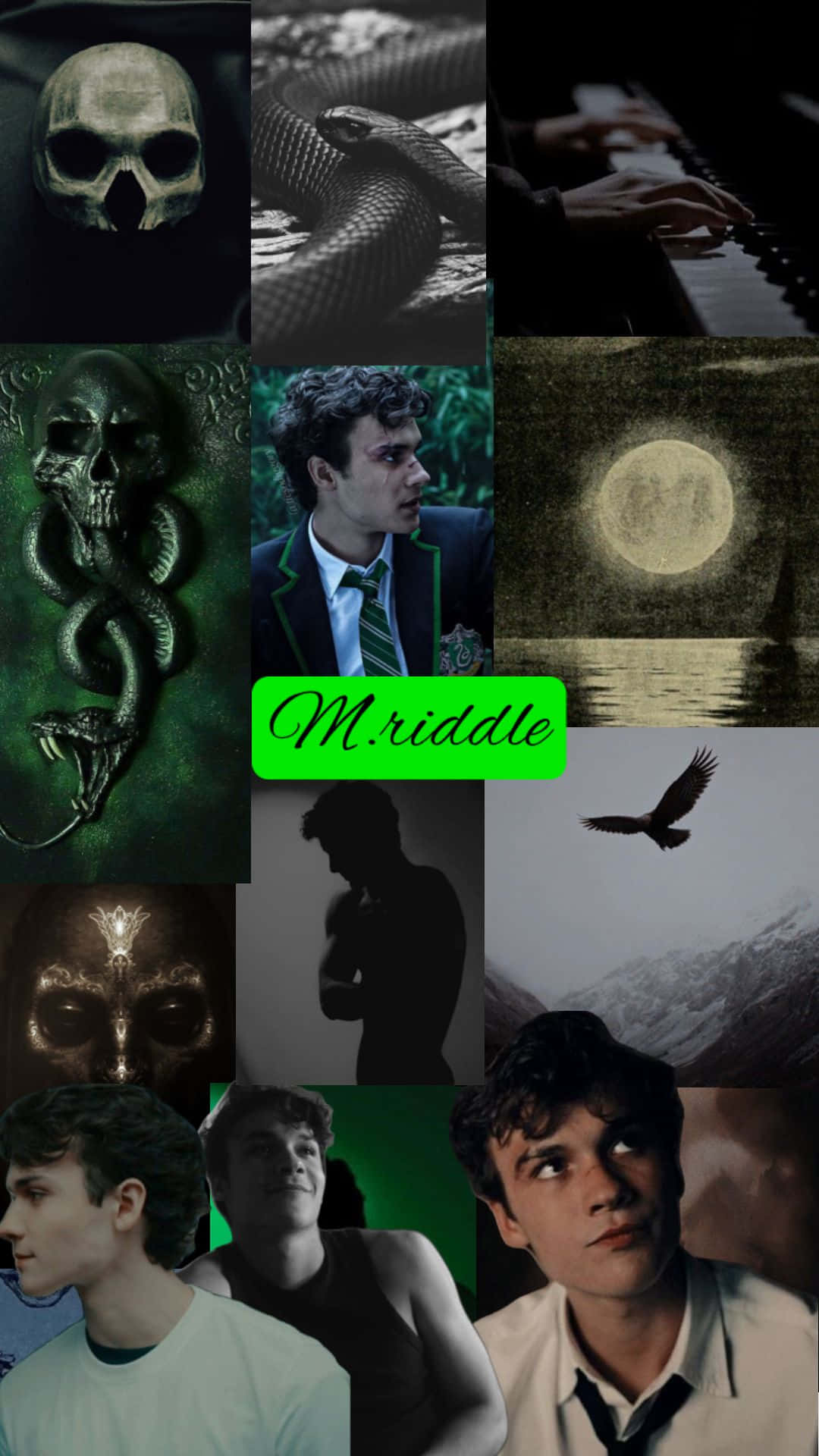 Mysterious Collage Mr Riddle Wallpaper