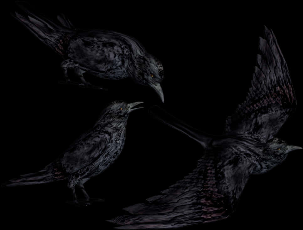 Mysterious_ Crows_in_ Darkness PNG