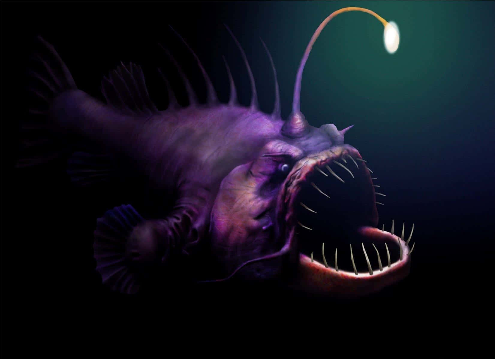 Mysterieuze Diepzeeaanglerfish In Zijn Natuurlijke Habitat Achtergrond