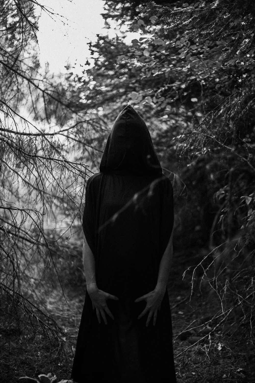 Mysterious_ Figure_in_ Woods Wallpaper