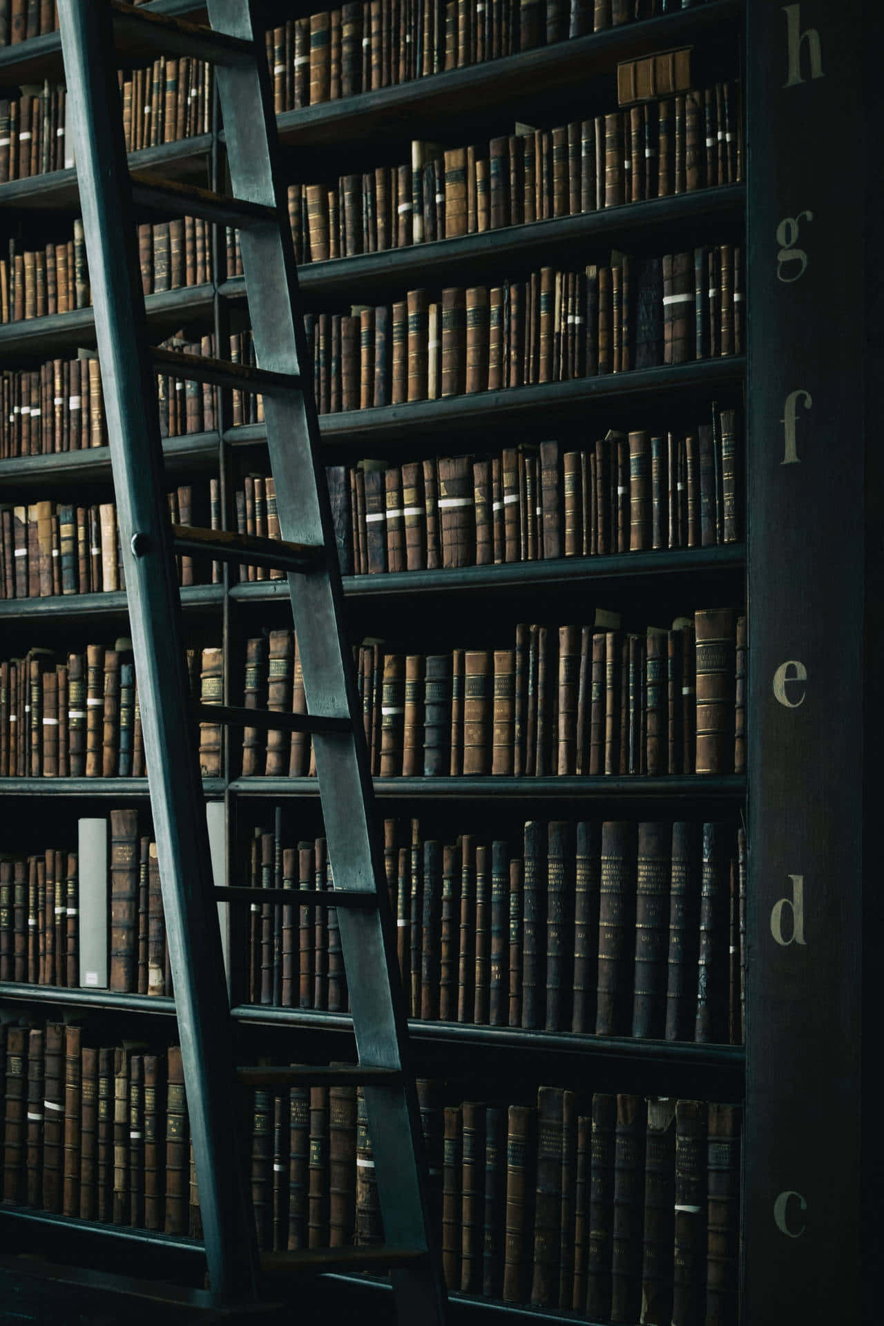 Mysterious_ Library_ Ladder_and_ Shelves.jpg Wallpaper