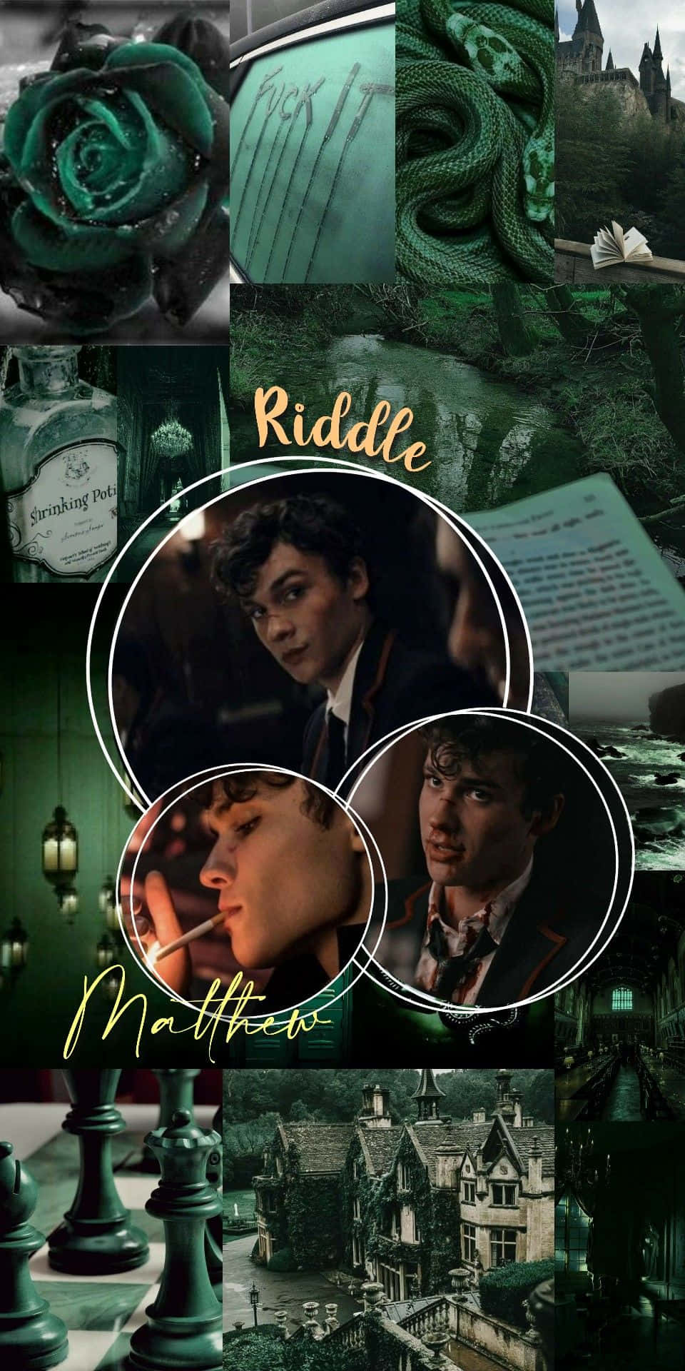 Mysterious Mattheo Riddle Collage Wallpaper