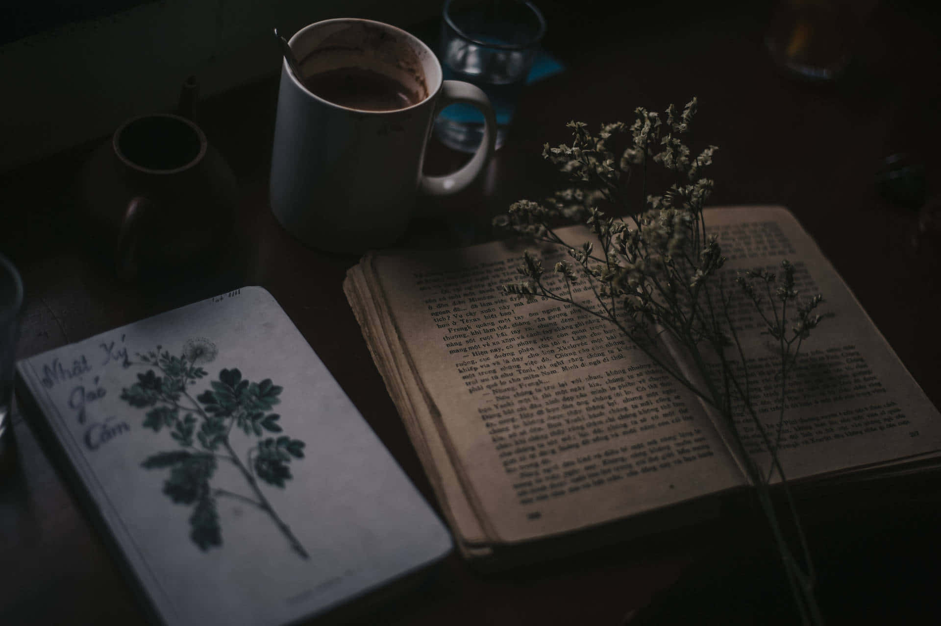 Mysterious_ Nighttime_ Reading Wallpaper