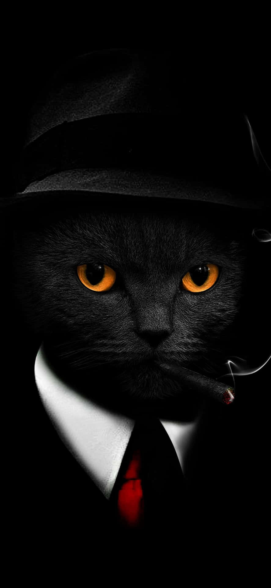 Mysterious Noir Cat Aesthetic.jpg Wallpaper
