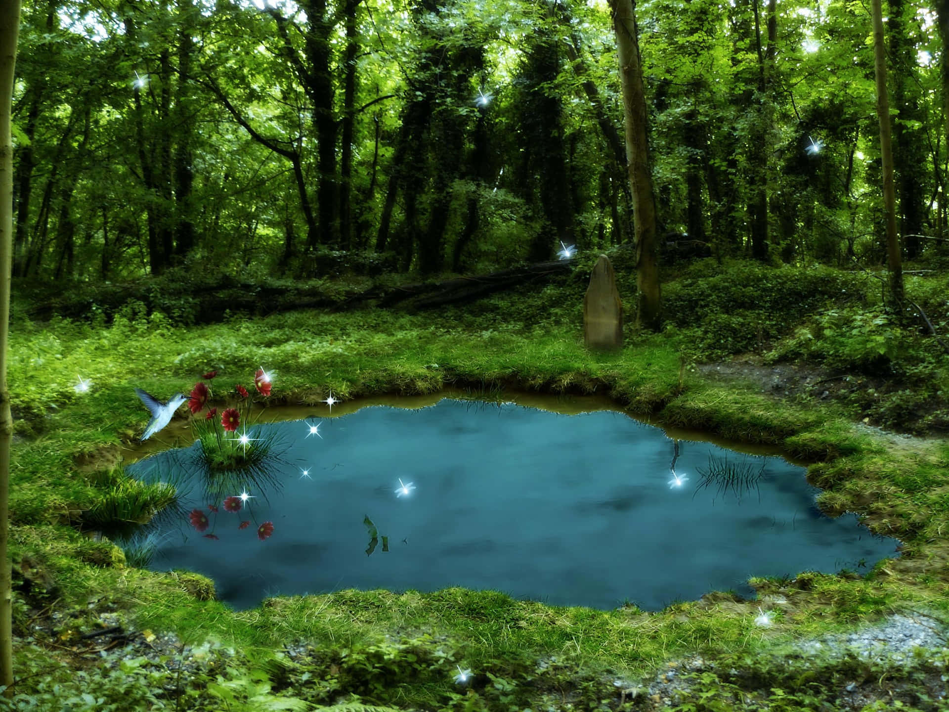 Mysterious Pond In Forest Wallpaper