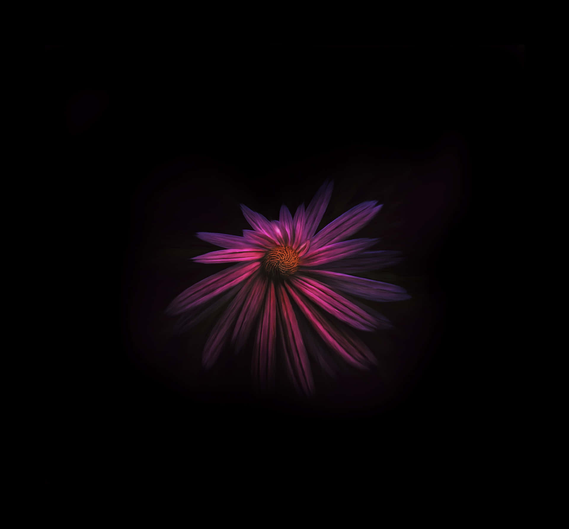 Mysterious Purple Flower Dark Background Wallpaper
