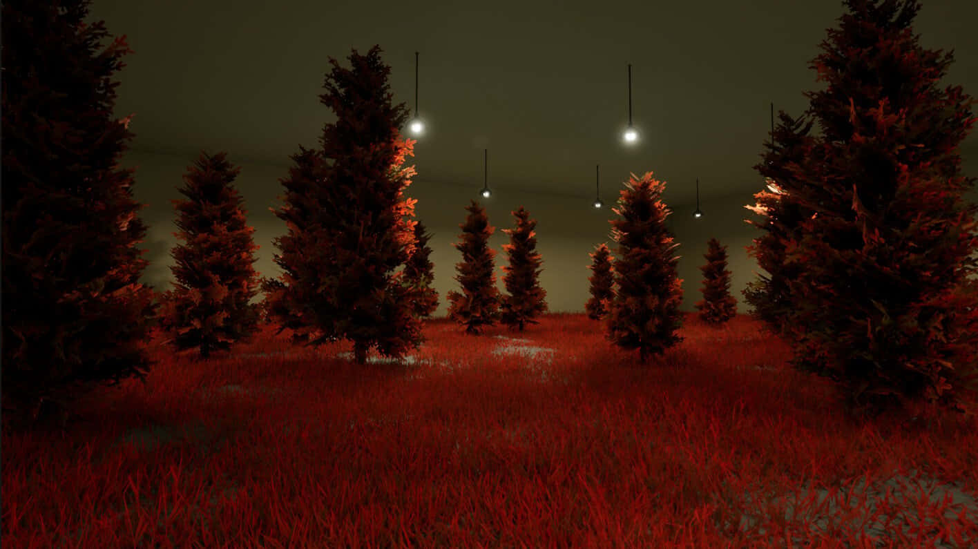 Mysterious_ Red_ Forest_ Night_ Scene Wallpaper