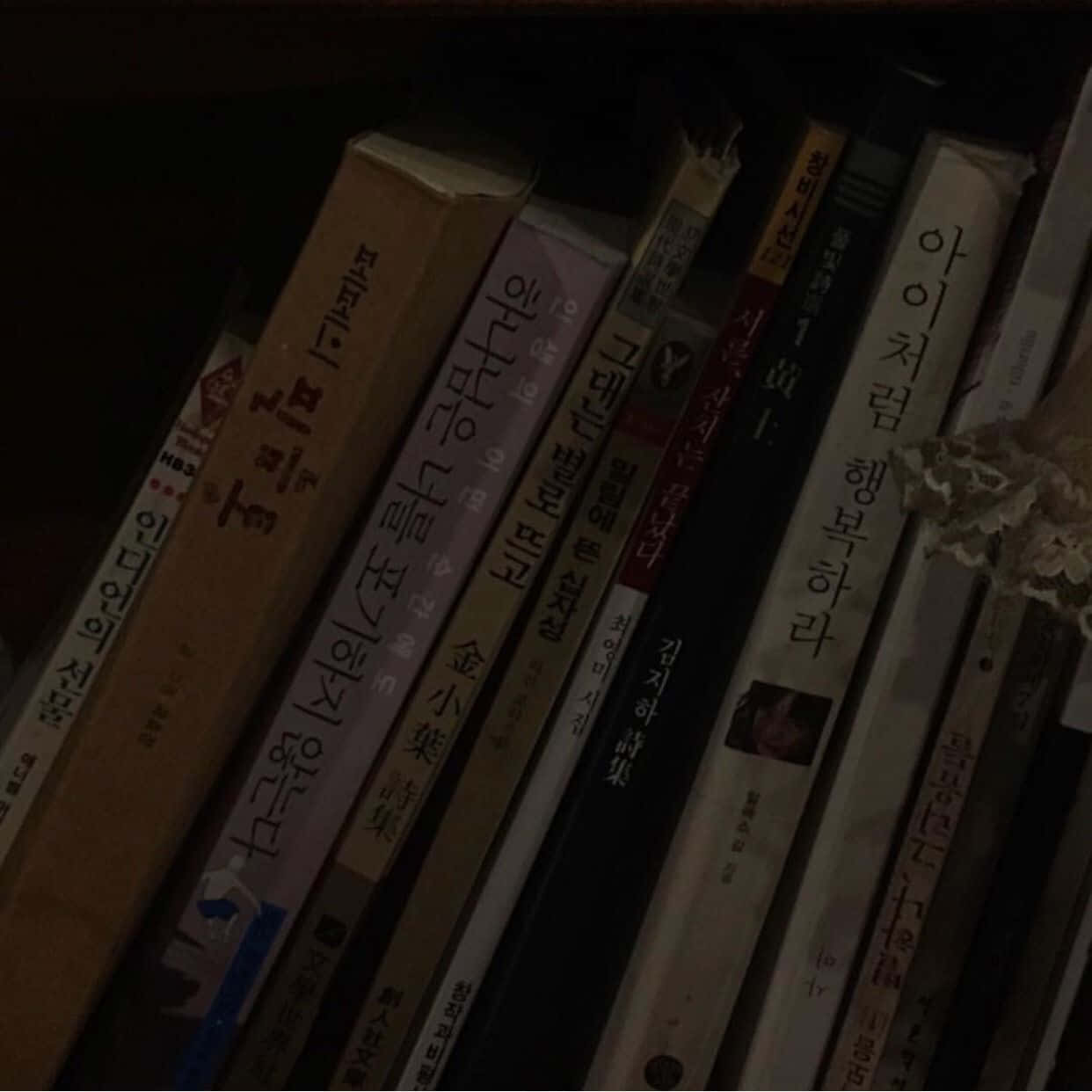 Mysterious_ Shelf_of_ Korean_ Books Wallpaper