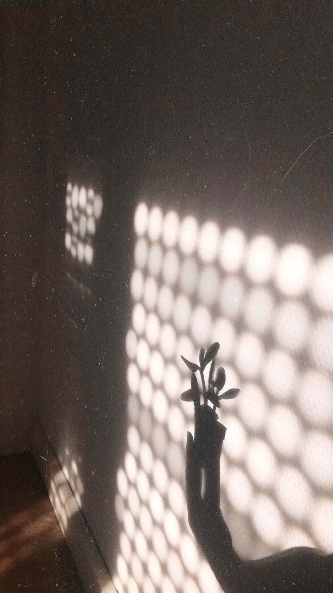 Mysterious Silhouette In The Shadows