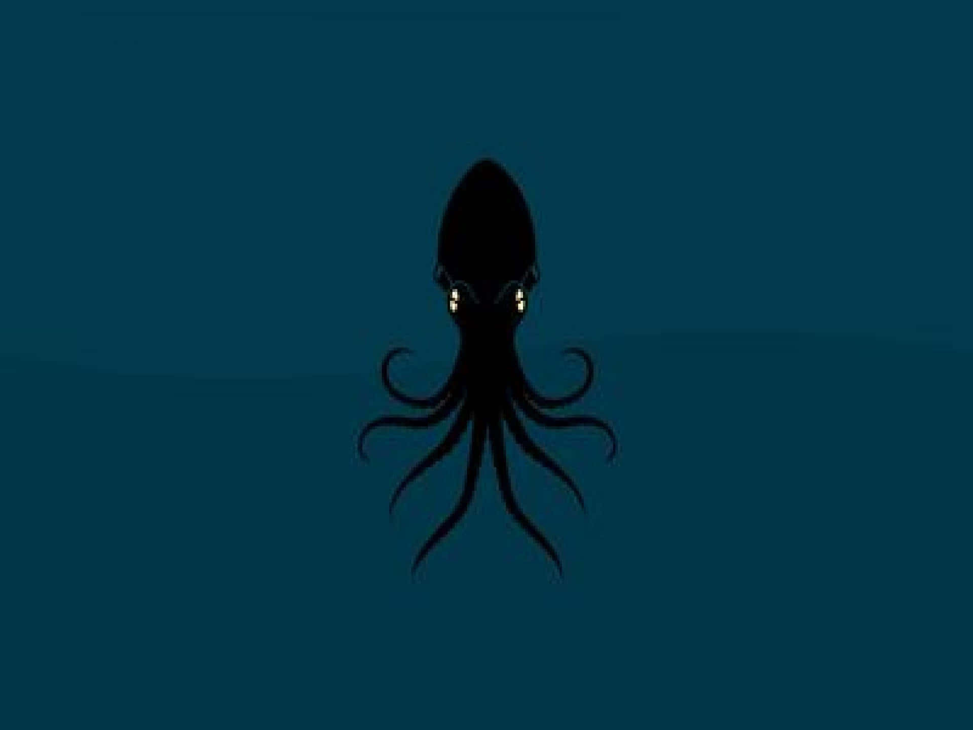 Mysterious Squid Silhouette Wallpaper