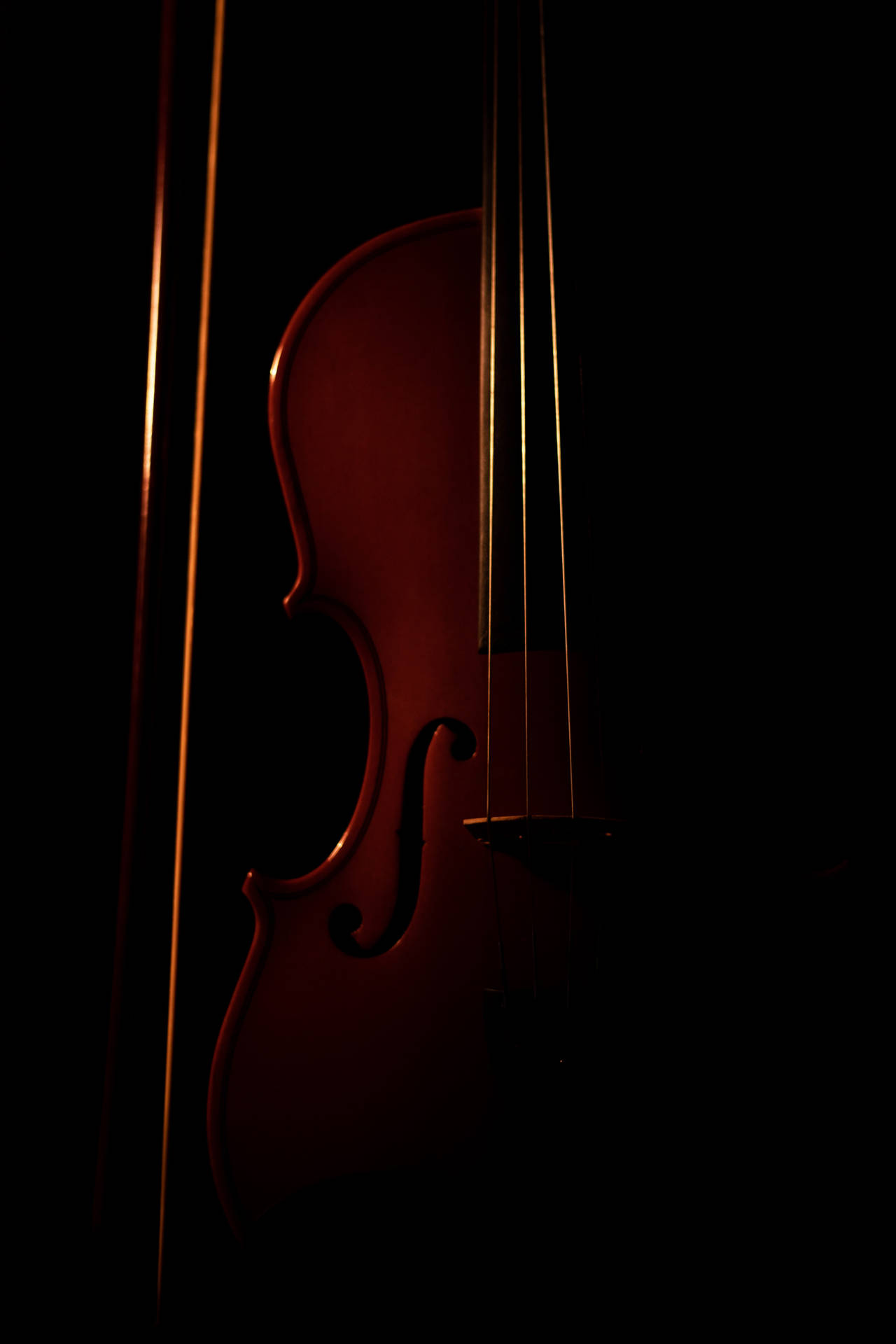 Mysterious Violin Silhouette SVG