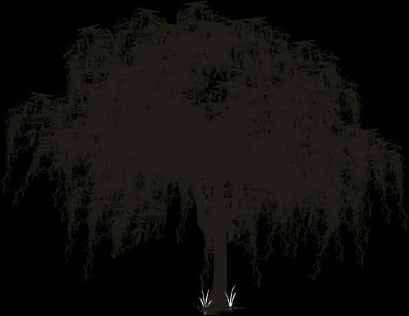 Mysterious Weeping Willow Silhouette PNG