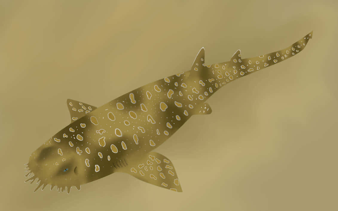 Mysterious Wobbegong Shark Underwater Wallpaper