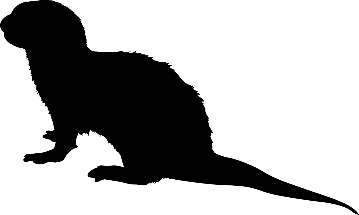 Mysterious_ Animal_ Silhouette.png PNG