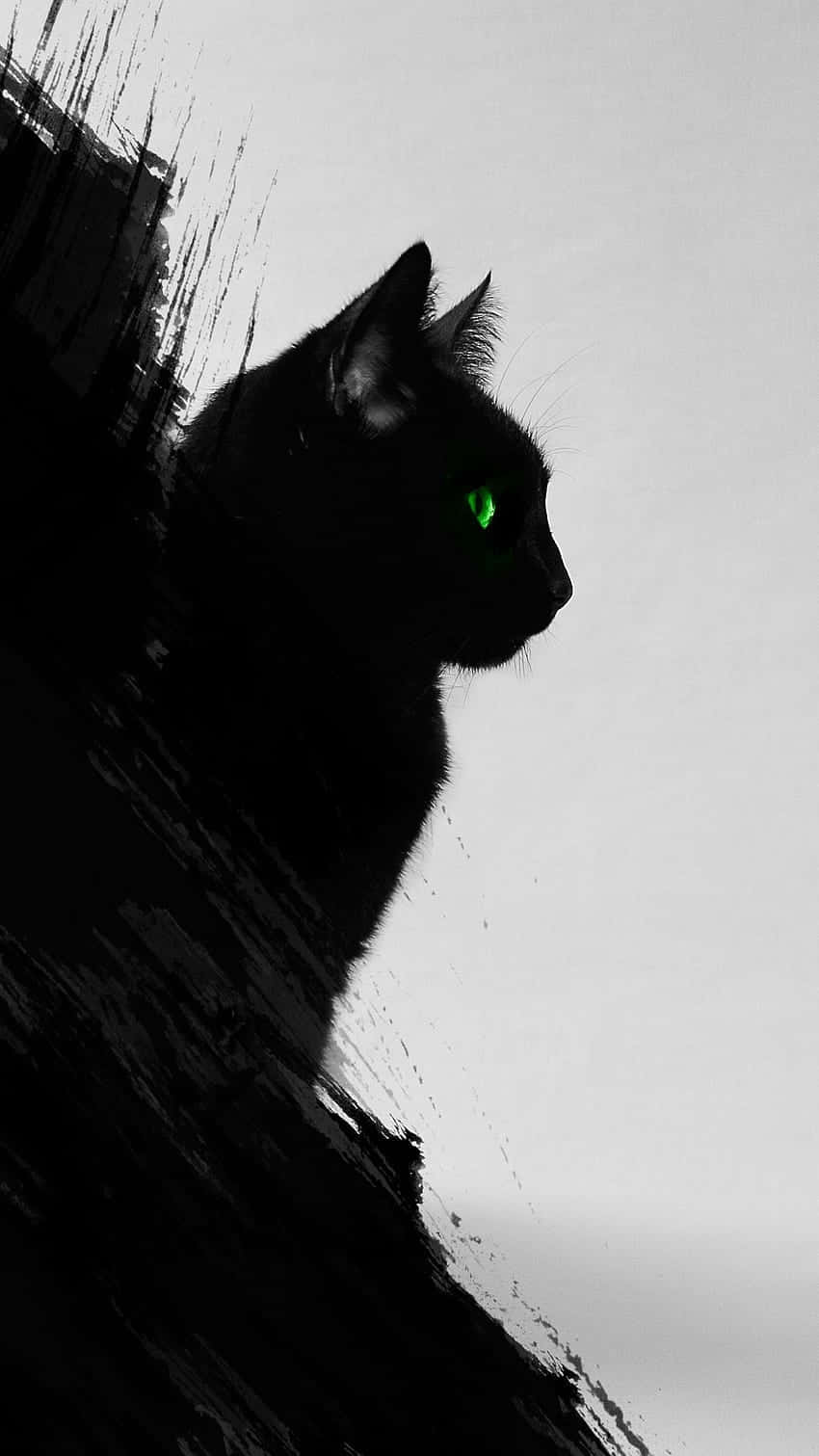 Mystic Black Cat Green Eyes Wallpaper