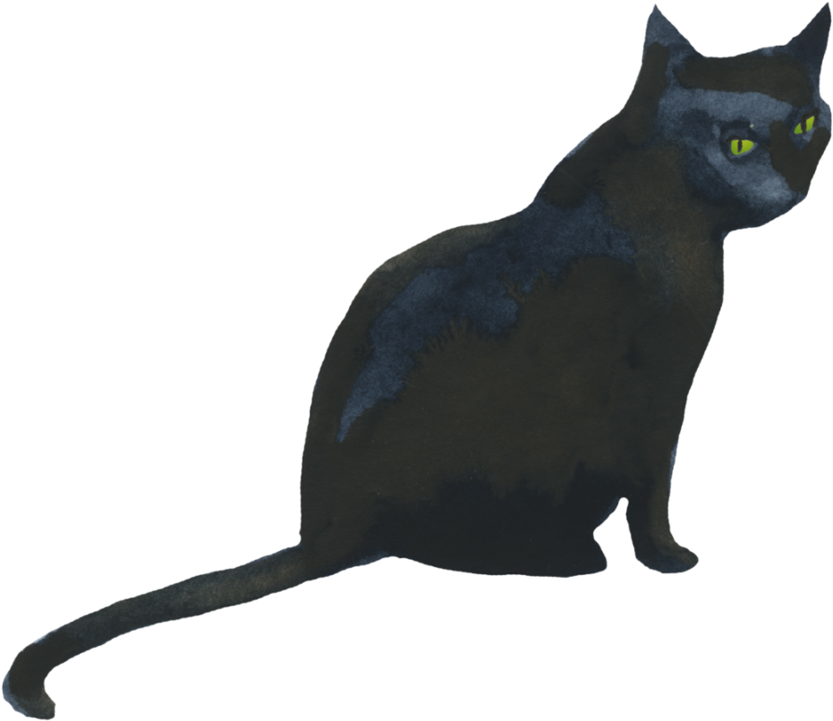 Mystic Black Cat Green Eyes PNG
