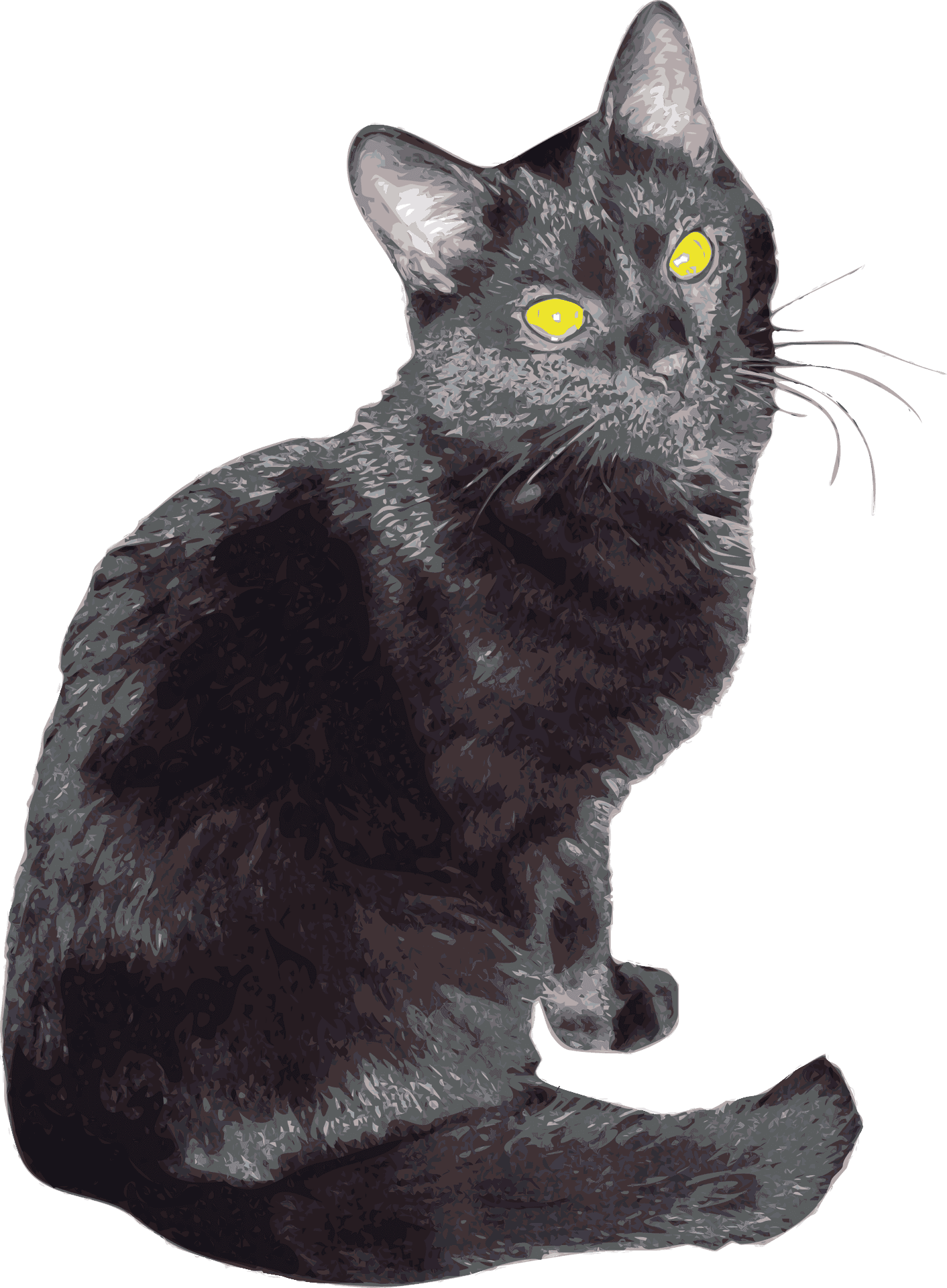 Mystic Black Cat Yellow Eyes PNG