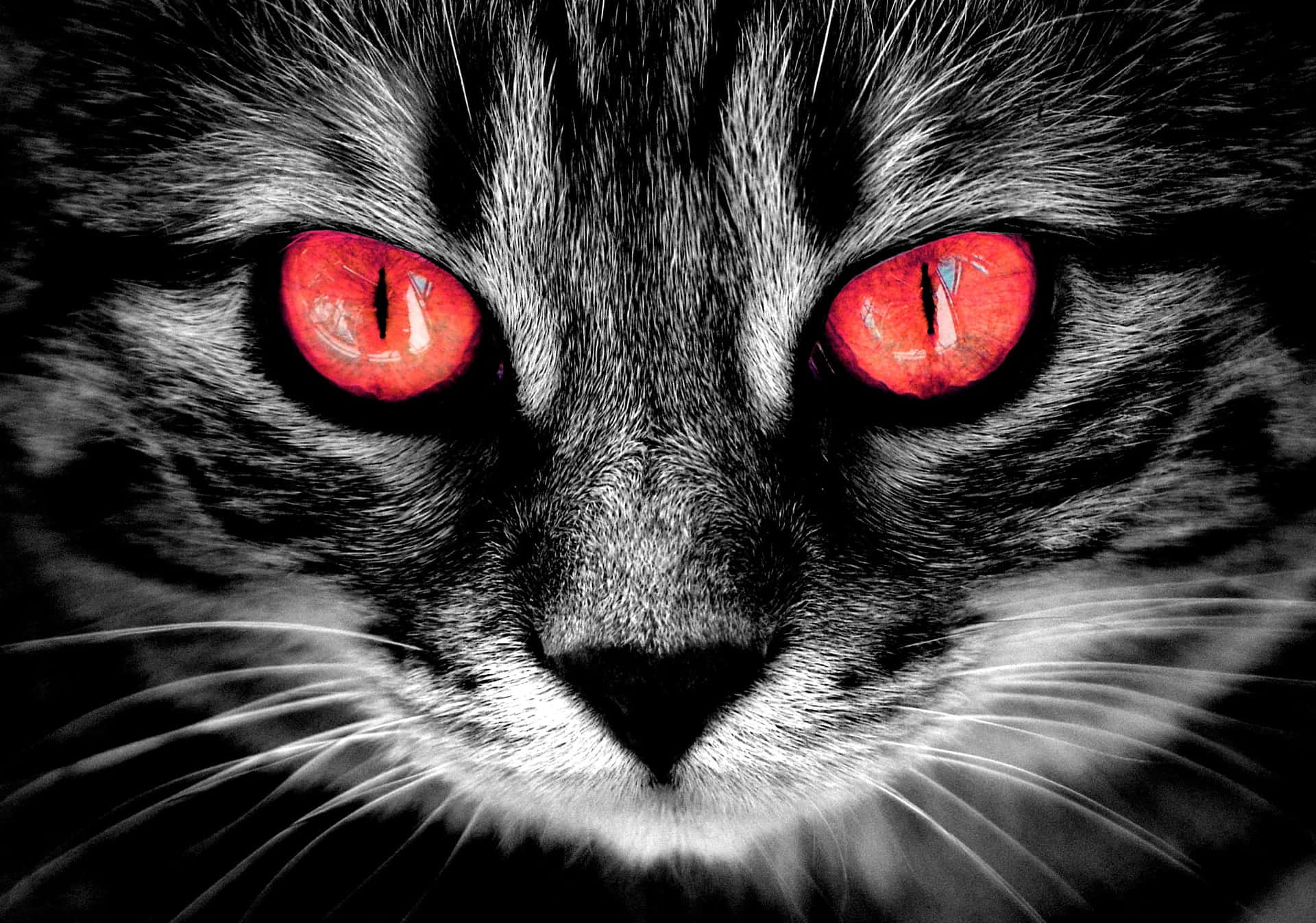 Mystic Red Cat Eyes Background