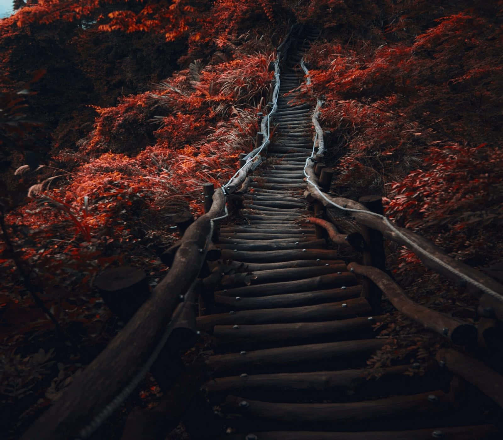 Mystical_ Autumn_ Stairway Wallpaper