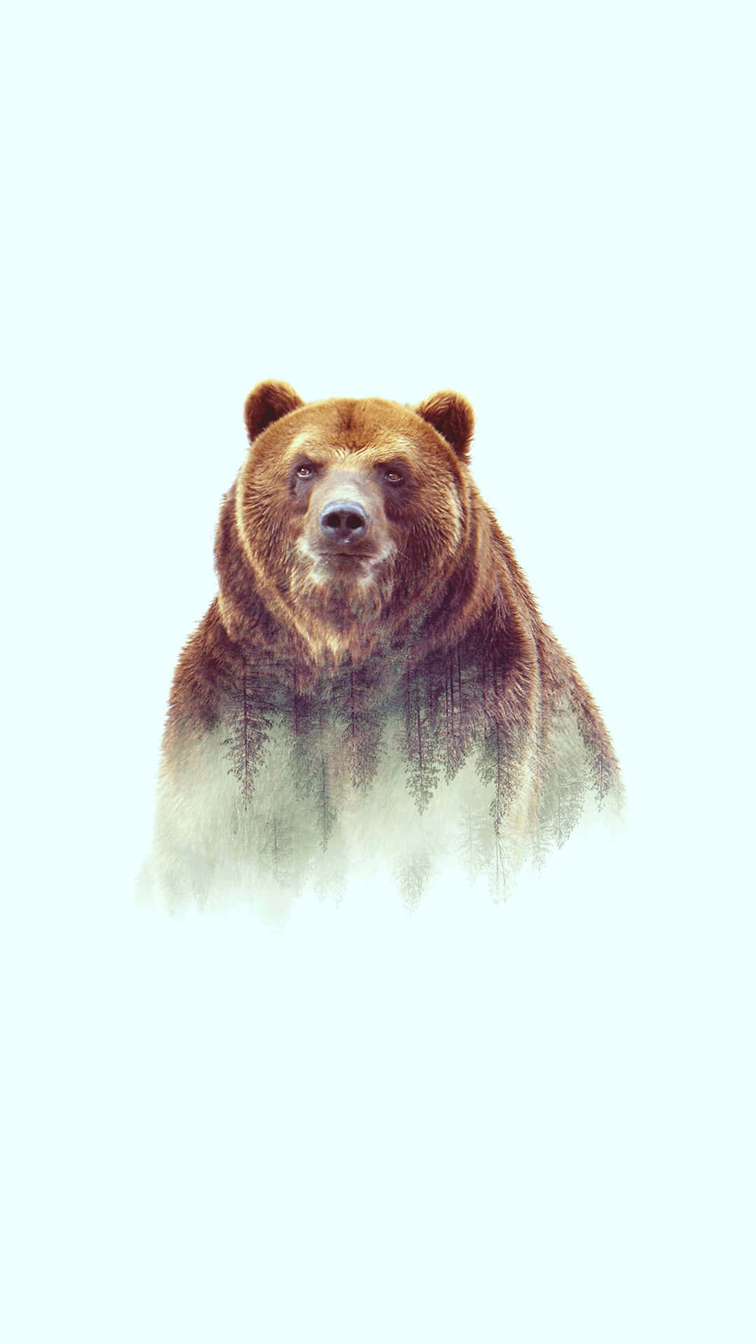 Mystical Bear Fading Into Forest Wallpaper