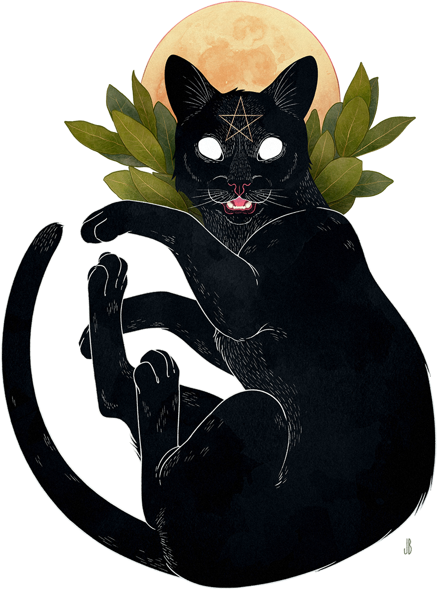 Mystical Black Cat Moon Illustration PNG