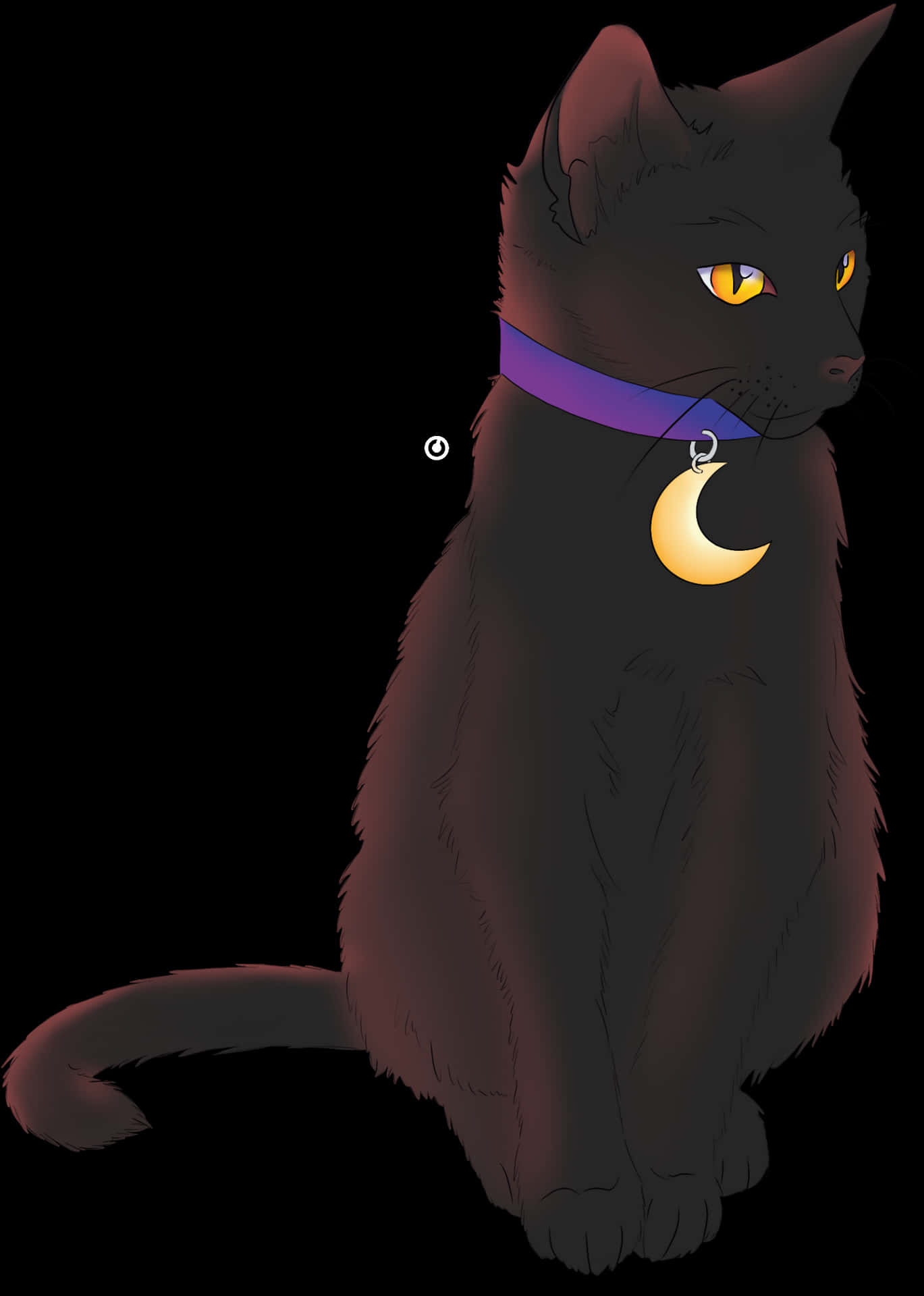 Mystical Black Cat Moon Pendant PNG