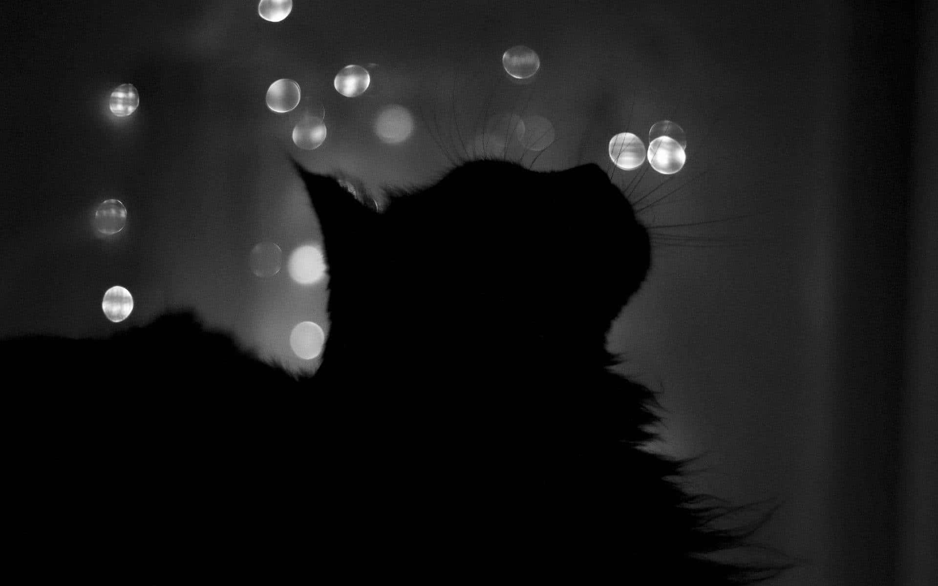Mystical Black Cat Silhouettewith Bokeh Lights Wallpaper