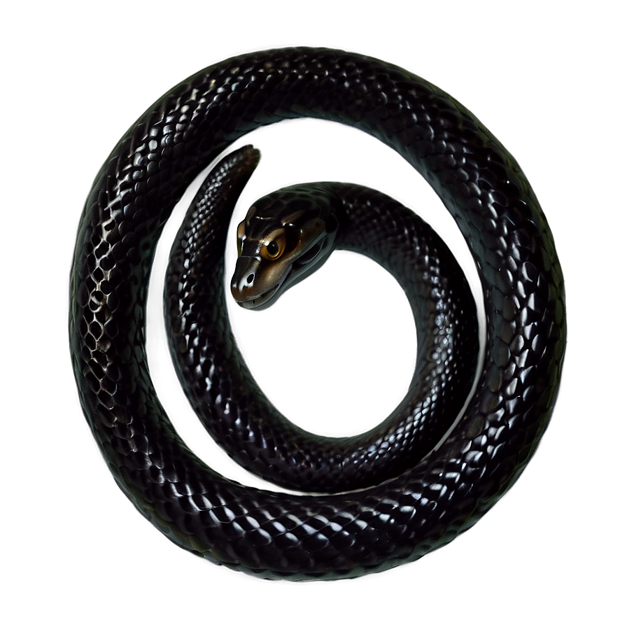 Mystical Black Snake Png Yxj53 PNG