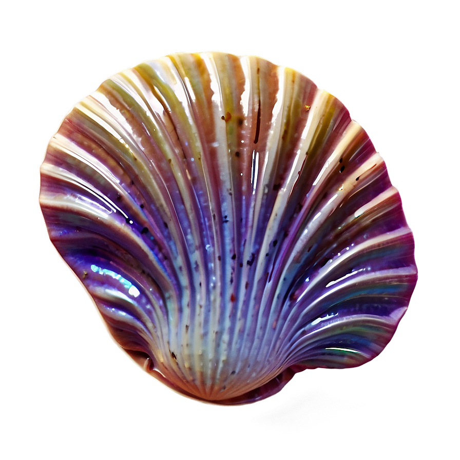 Mystical Clam Oracle Png 05242024 PNG
