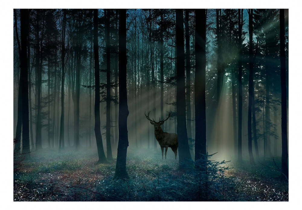 Einhirsch Steht Im Wald Und Wird Von Einem Licht Angestrahlt. Wallpaper