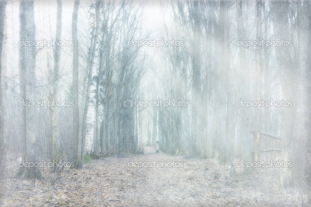 Machensie Sich Auf Eine Reise Durch Den Mystischen Wald Wallpaper