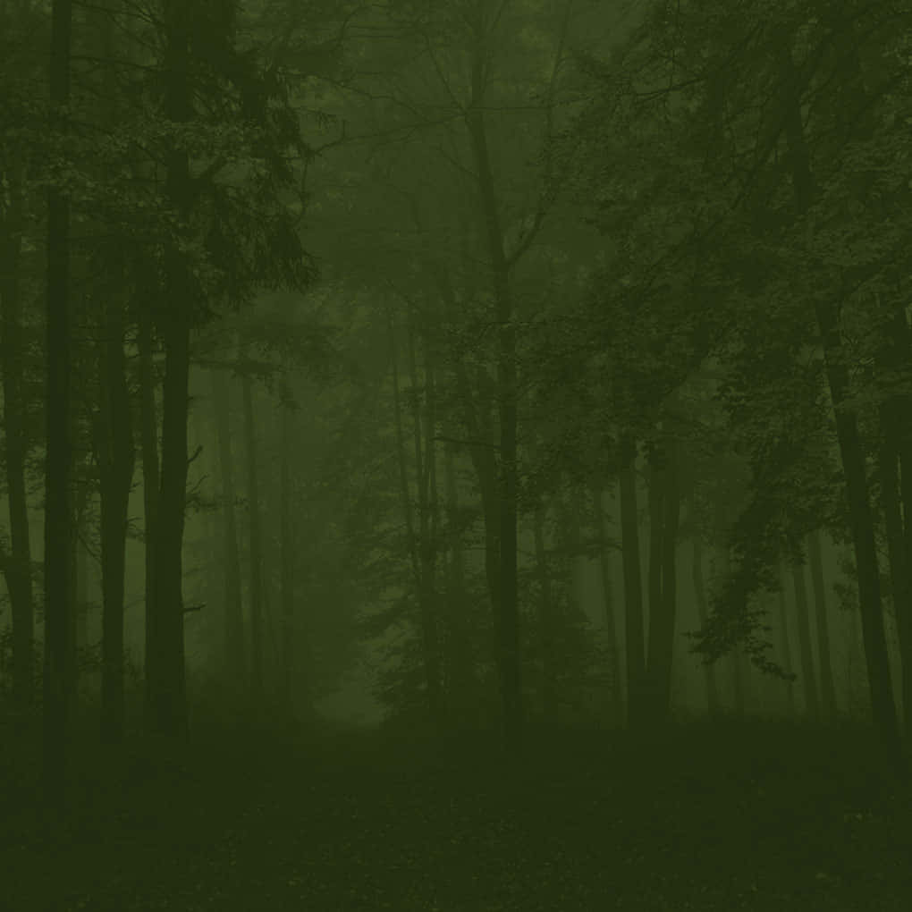 Mystical_ Forest_ Fog_ Dark_ Fairycore.jpg Wallpaper