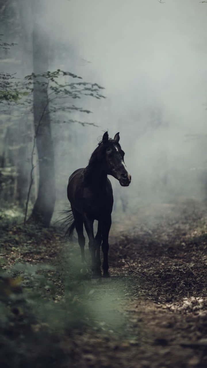 Mystical_ Forest_ Horse.jpg Wallpaper