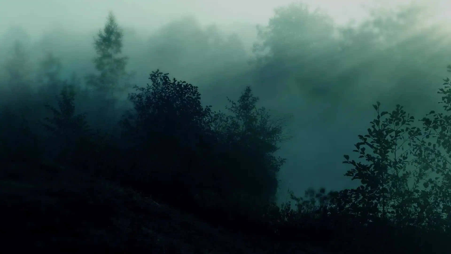Mystical Forest Mist Dark Cottagecore Aesthetic.jpg Wallpaper