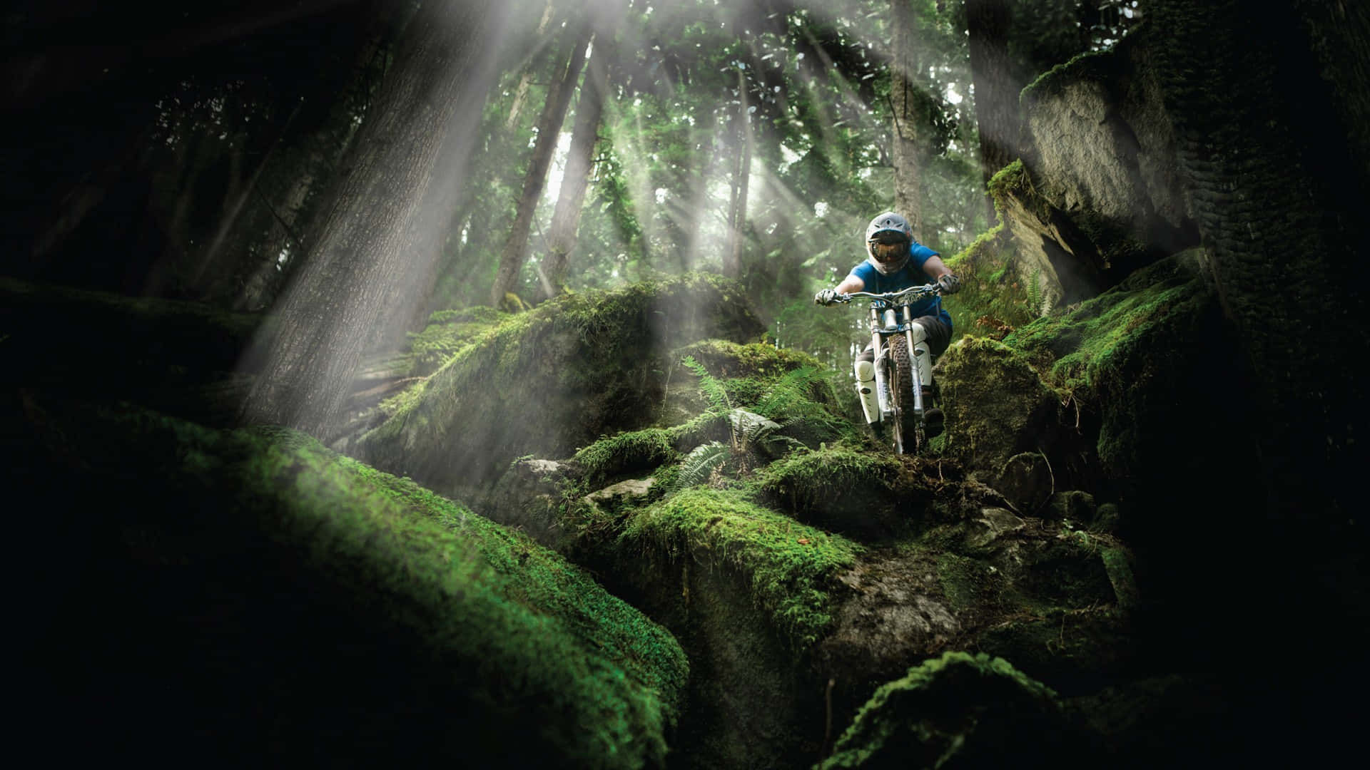 Mystical Forest Mountain Biking Wallpaper