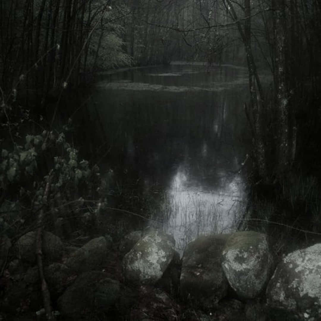 Mystical_ Forest_ Pond_ Dark_ Fairycore_ Aesthetic.jpg Wallpaper
