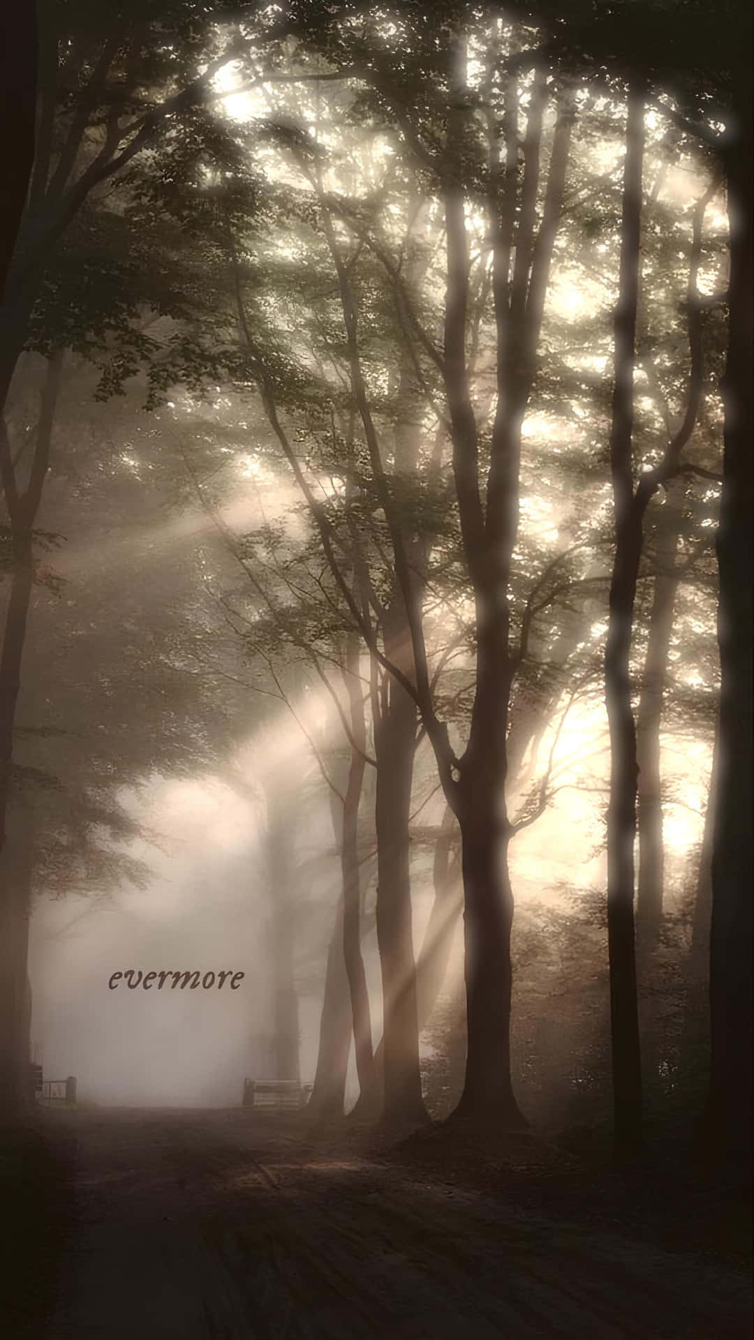 Mystical Forest Sunbeams Evermore Wallpaper
