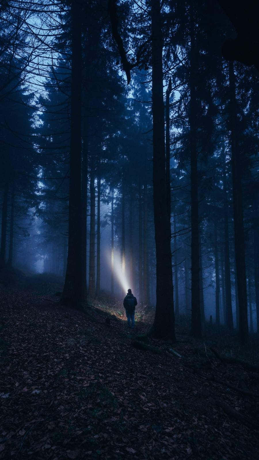 Mystical Forest Wanderer.jpg Wallpaper