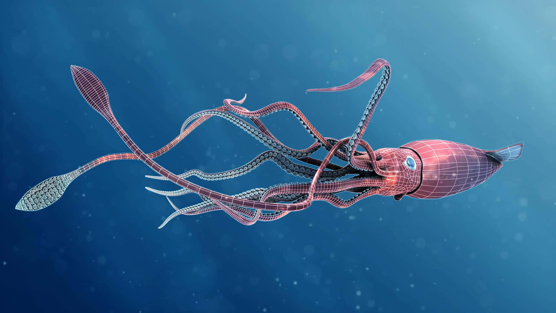 Mystical Giant Squid Underwater Wallpaper